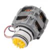 50273432000 Electrolux motore lavastoviglie