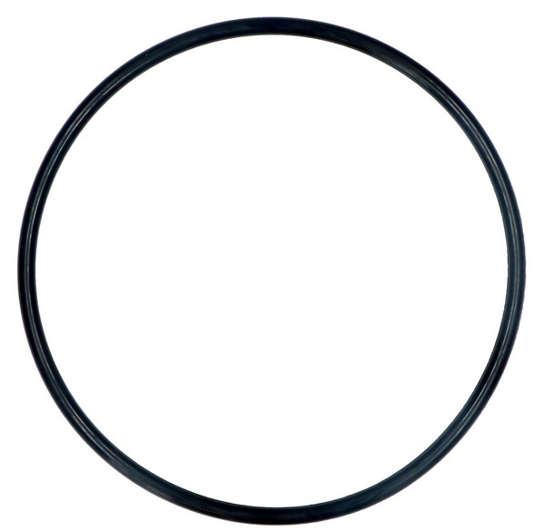 1119186003 Electrolux guarnizione lavastoviglie