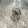 133.0047.108 Franke lampada 15 W originale